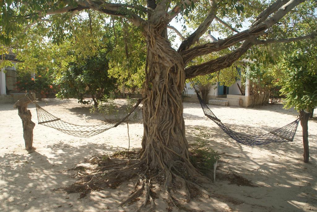 Bazouk Du Saloum Ecolodge Mar Lodj 客房 照片