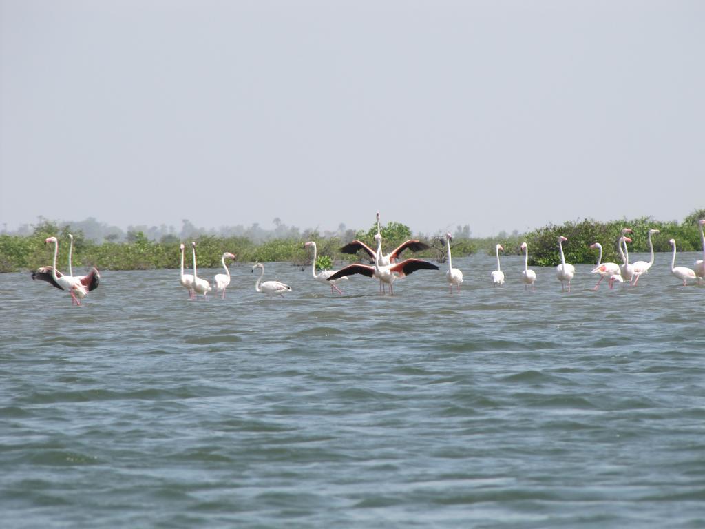 Bazouk Du Saloum Ecolodge Mar Lodj 外观 照片